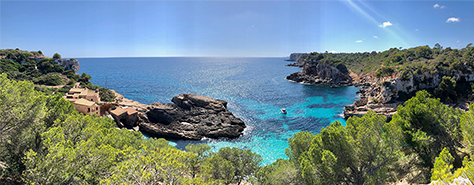 large cove surrounded by green foliage